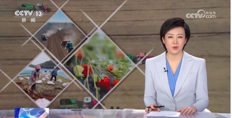 菌肥將是未來(lái)種地好肥料！